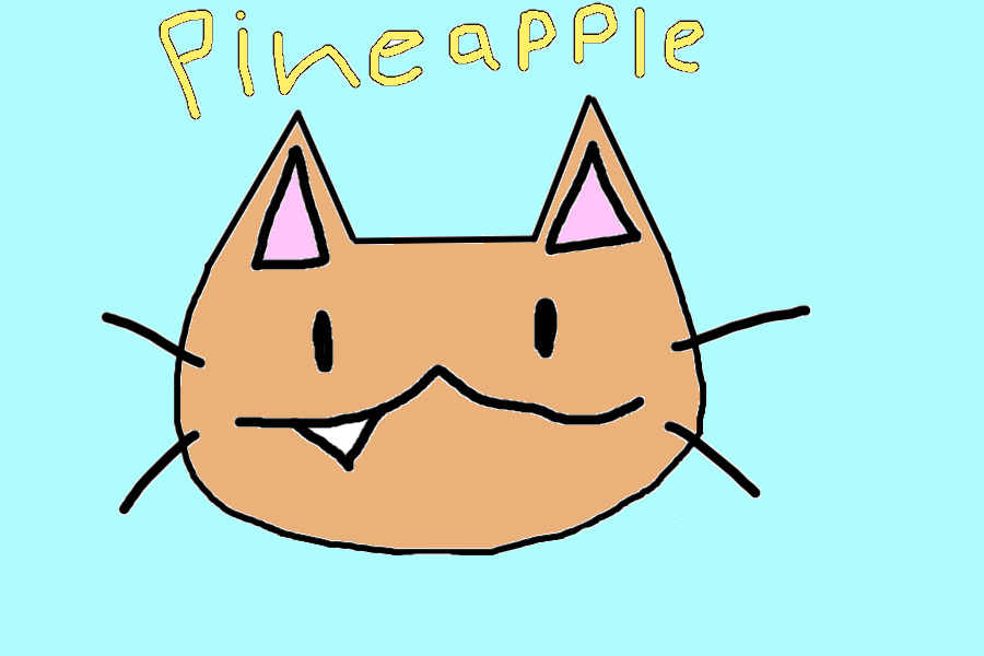Pineapple the kitty!! :3