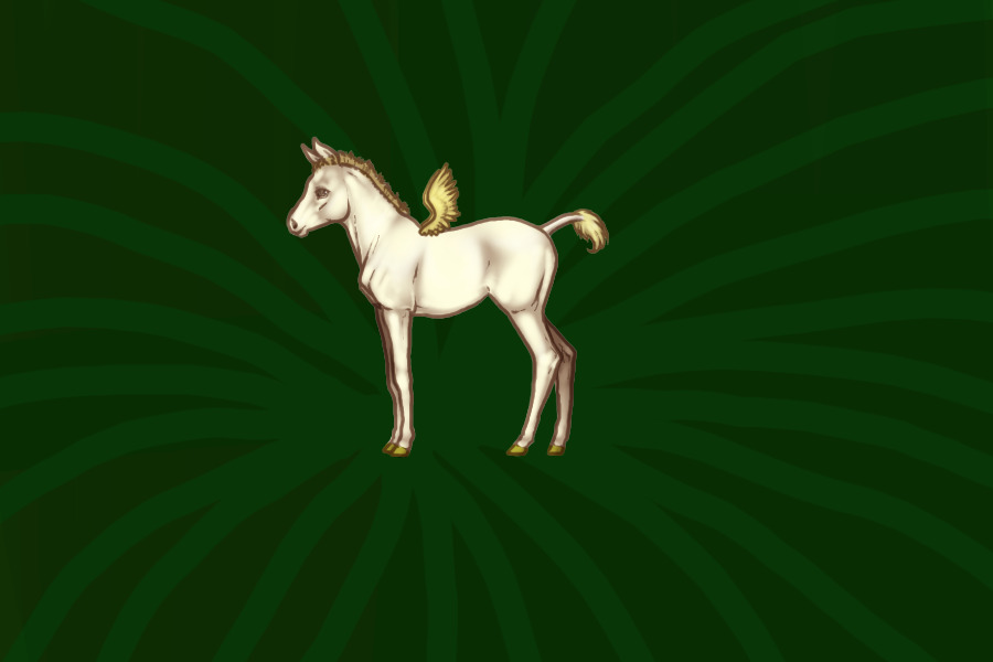 Light Foal
