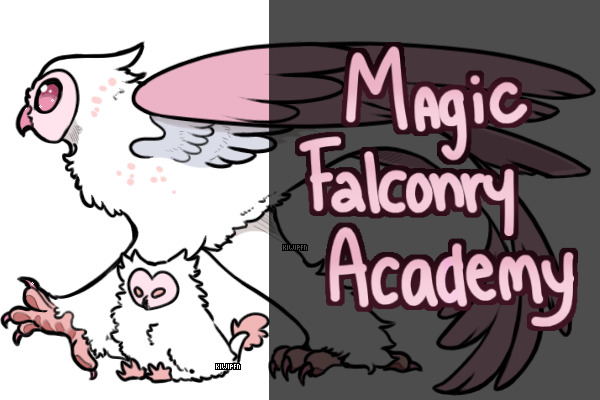 Magic Falconry Academy