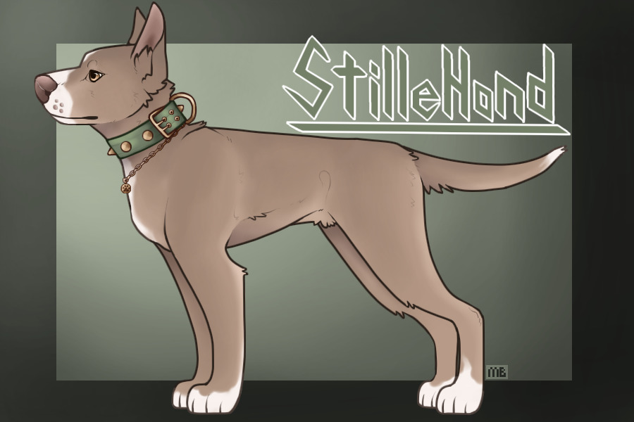 Stillehond | Semi-Open Dog Species