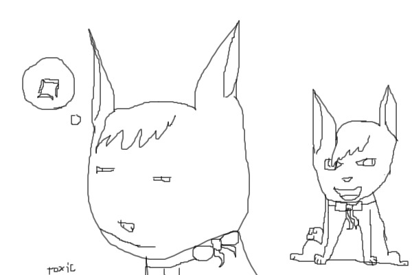 Angry bunny is angry...
