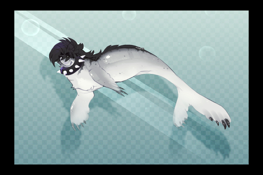 leopard seal: but for sale this time | closed
