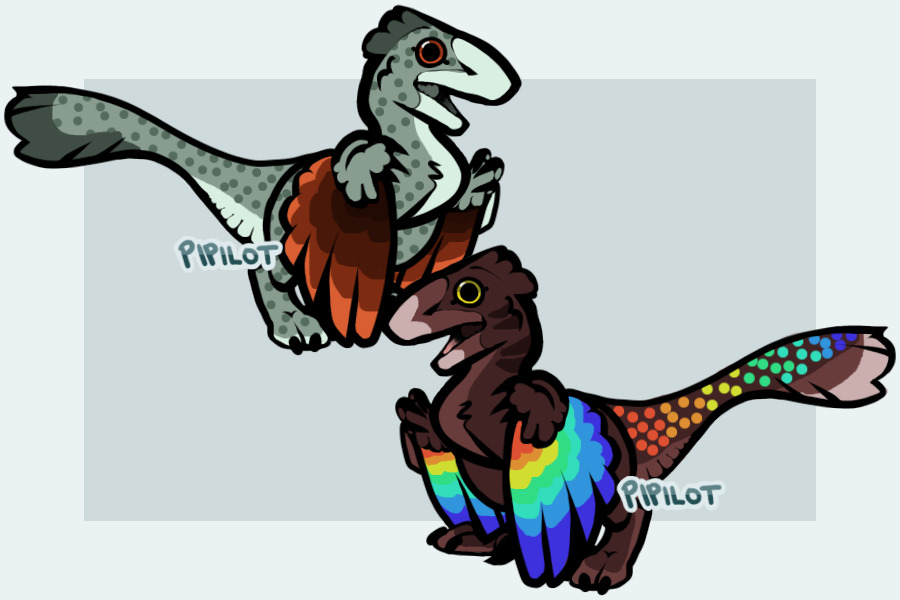 raptorrs!!