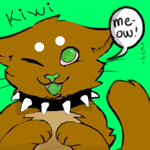 Kiwi Kitty!!!