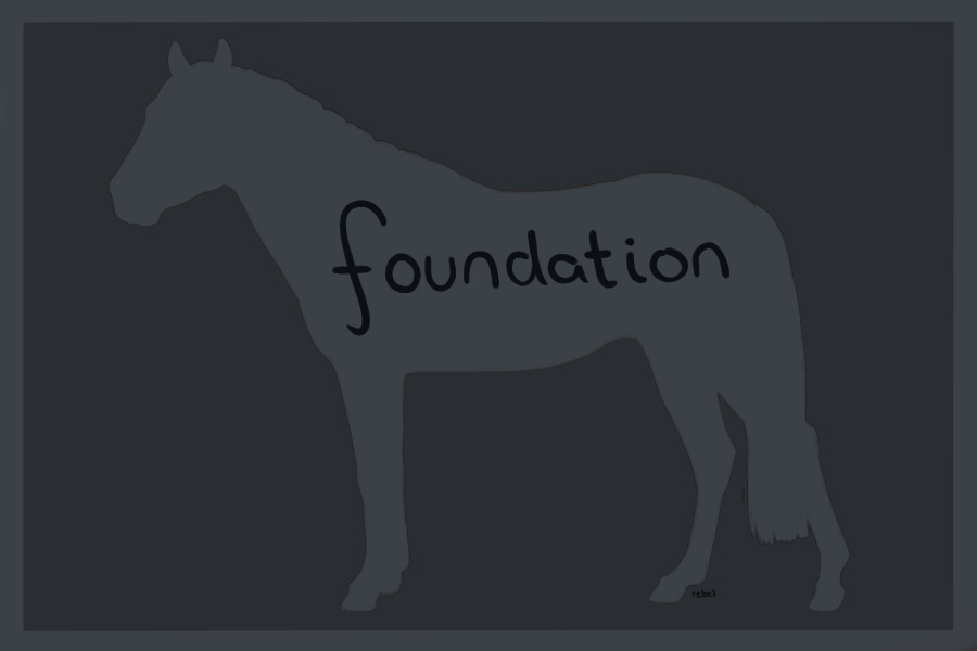 Grasmere Miniature Horses - Foundation Centre
