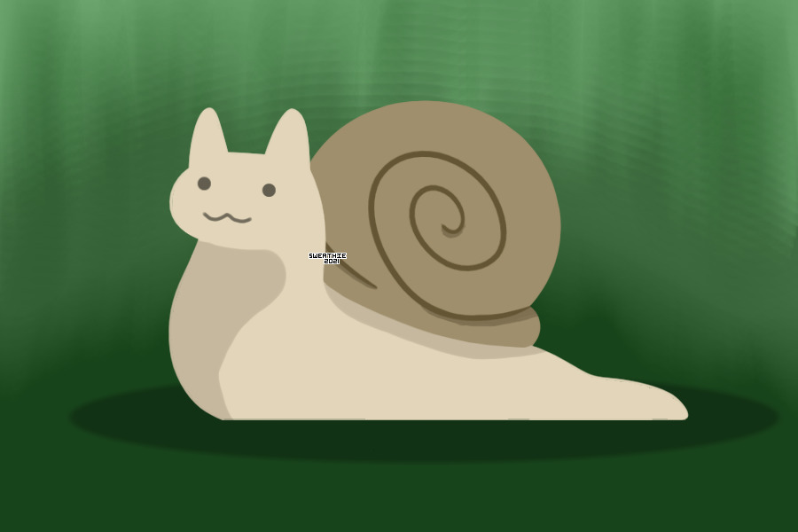 realistic snail cat !