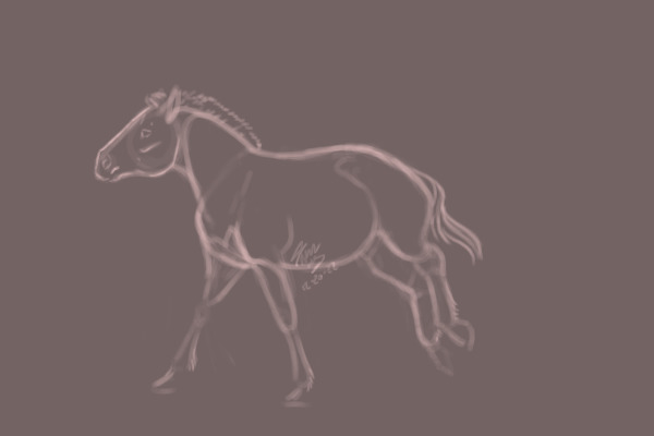 Ice age pony