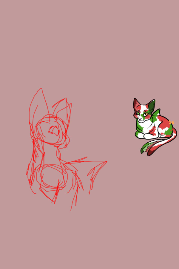 kitty shark