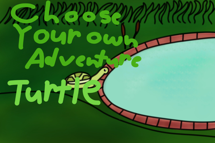Choose Your Own Adventure  Turtle Edition