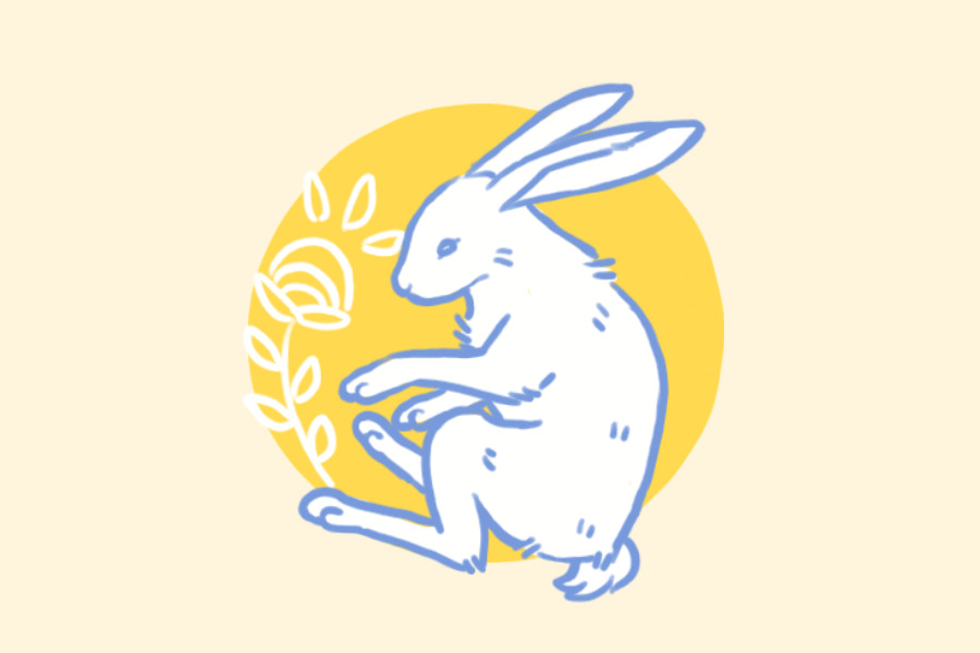 rabbit v2
