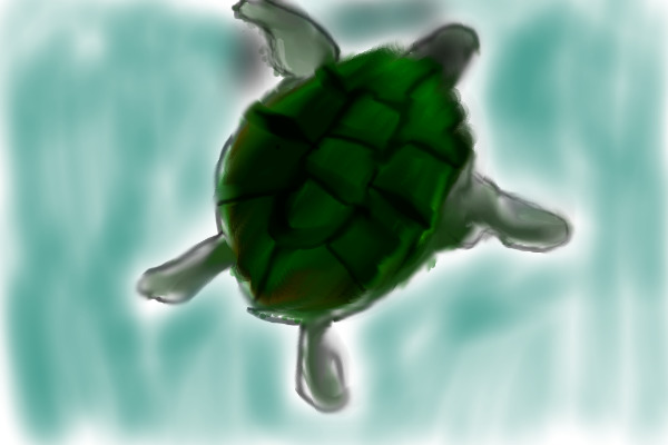 Jalapeno the Turtle