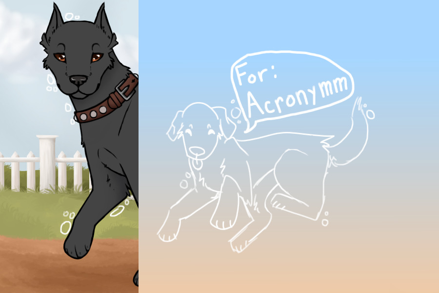 Beauceron lines for acronymm