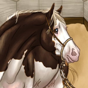 Free horse avatar!