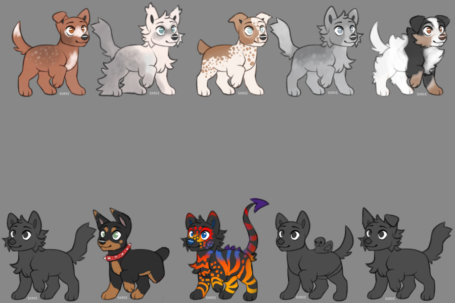 Some canine adopts!