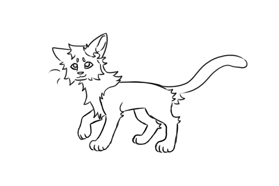 cate