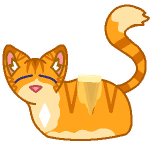 Buttered Cat