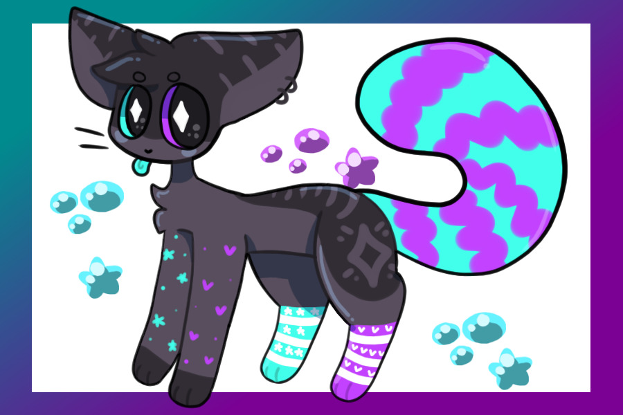 colorful kitty adopt