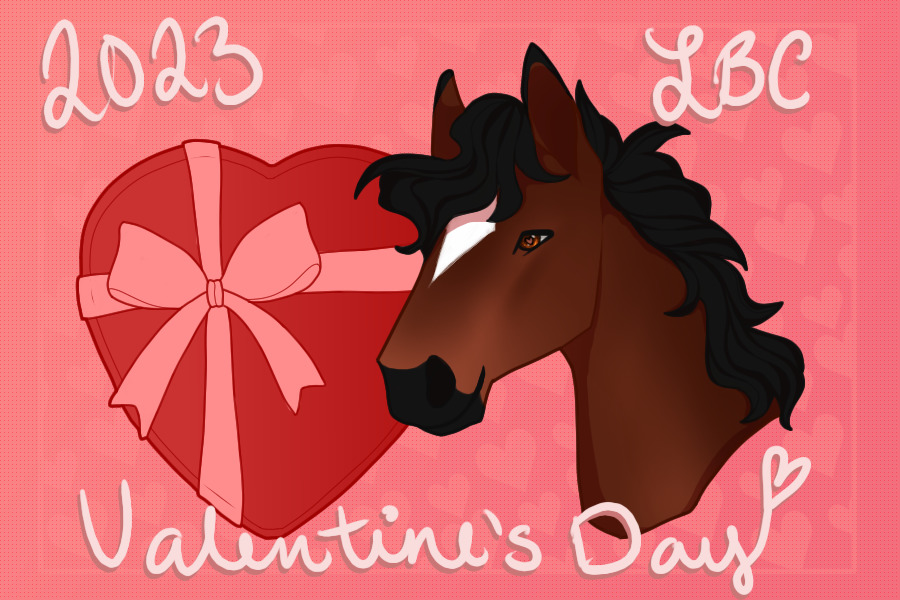 Lone Bashkir Curly Horses | Valentine's Day 2023