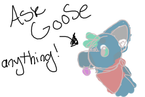 Ask Goose Anything!