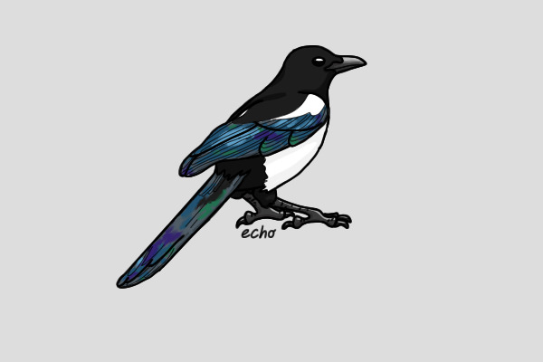 Magpie Character For Skiller