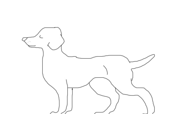 Woof!