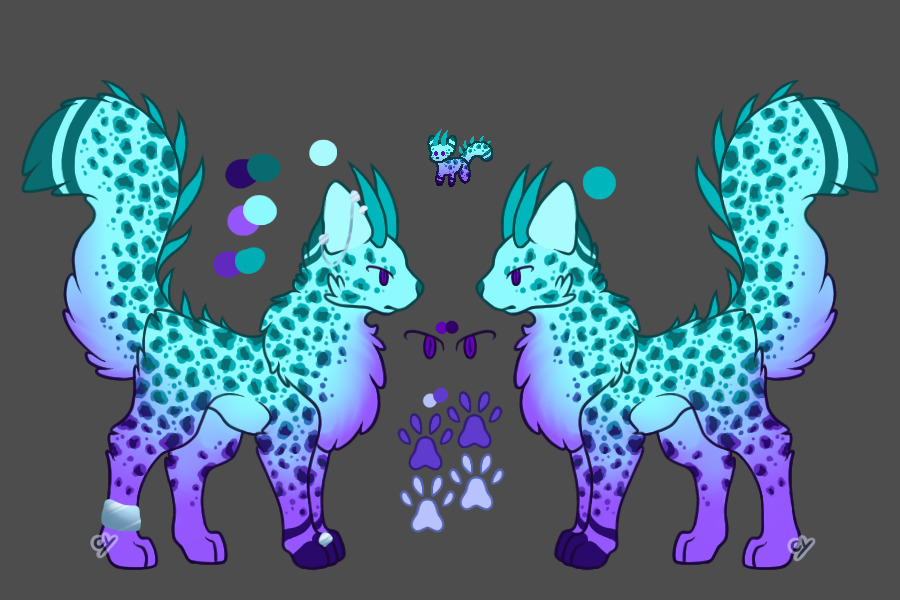 For Nova~Swirl