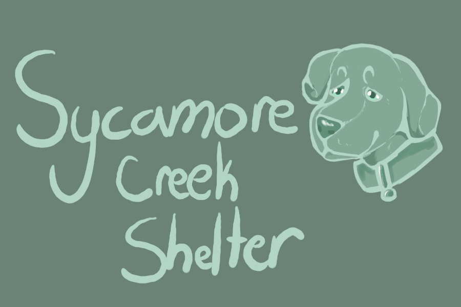 Sycamore Creek Shelter