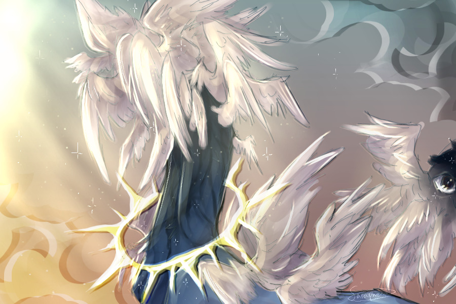 scattered dreams across the floor