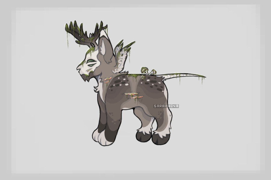 c4c for Lemon Coyote