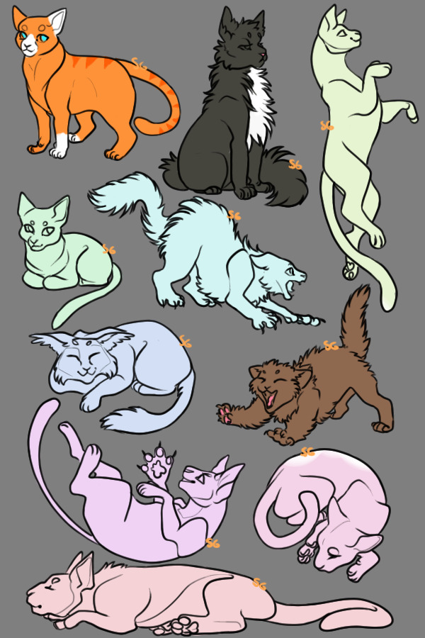 PWYW cat adopts