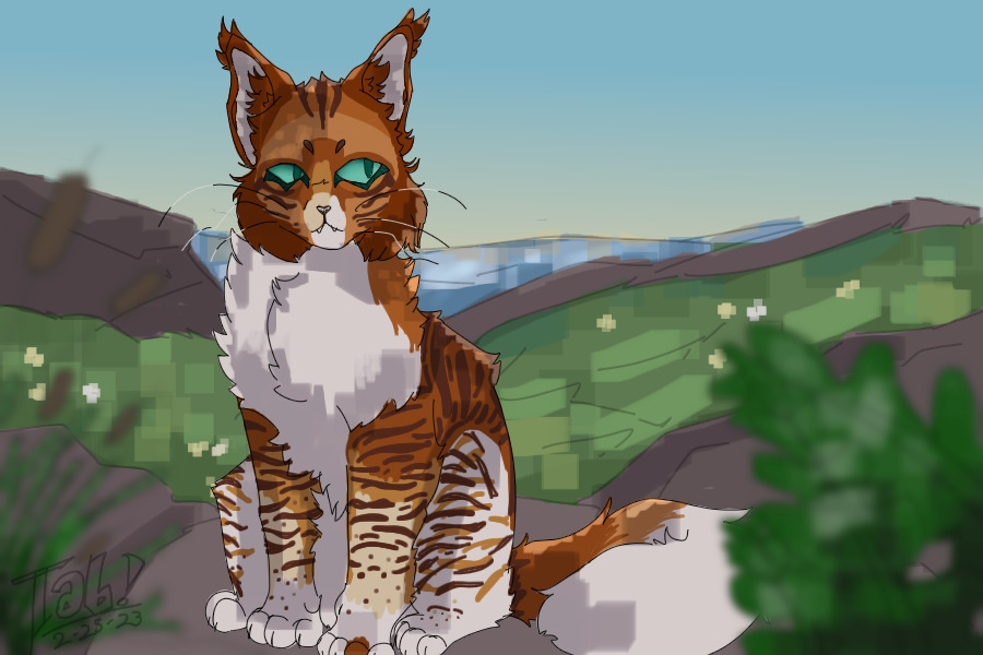 riverclan sunset
