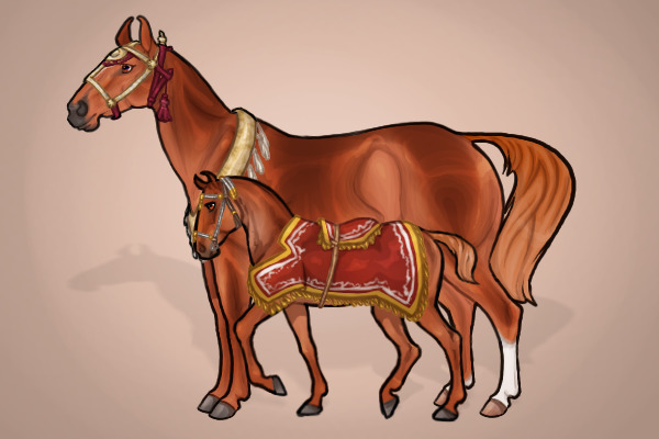 foal and accessories