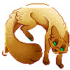 [fox in a box]