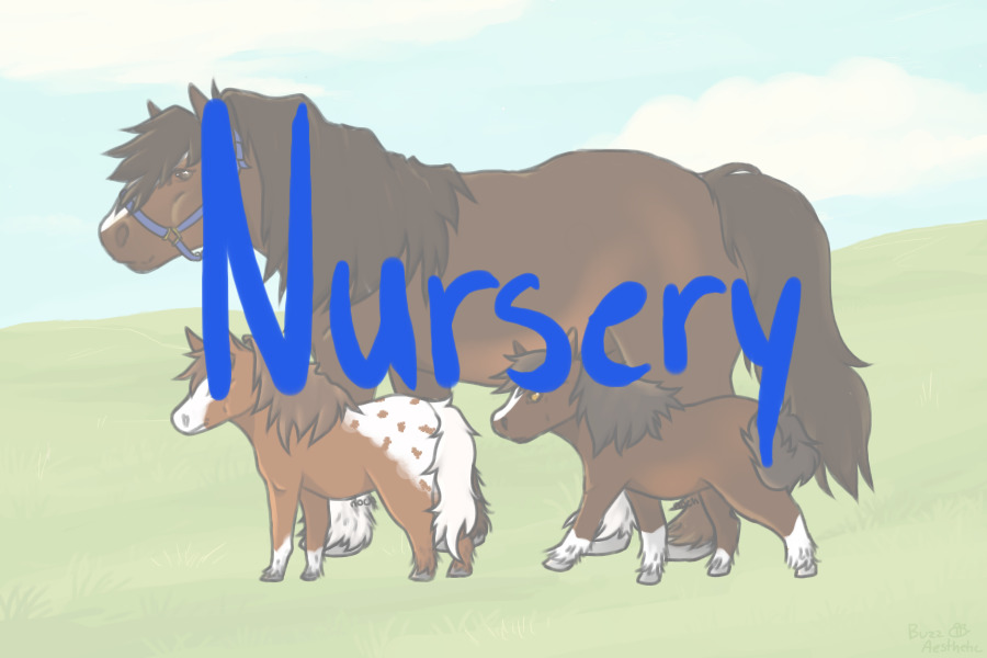 Shetland Gypsy Ponies || Nursery