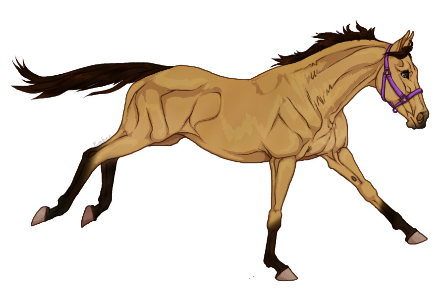 Horse 2 - buckskin