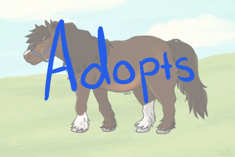 Shetland Gypsy Ponies || Adopts