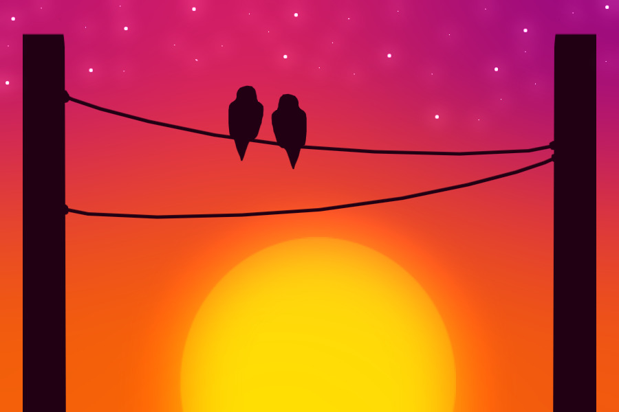2 birds on a wire