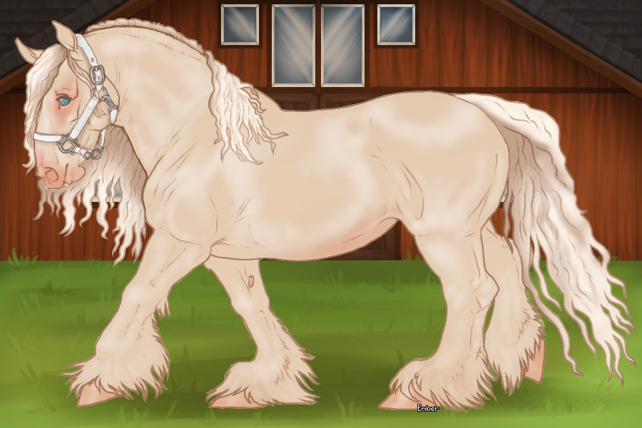 Cupido Draft Horse #485