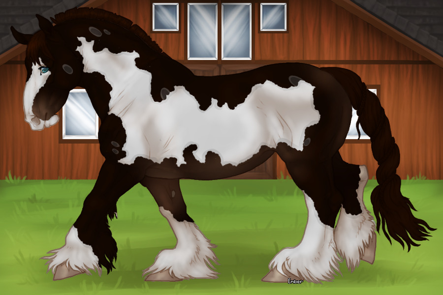 Cupido Auction Horse #003 untacked