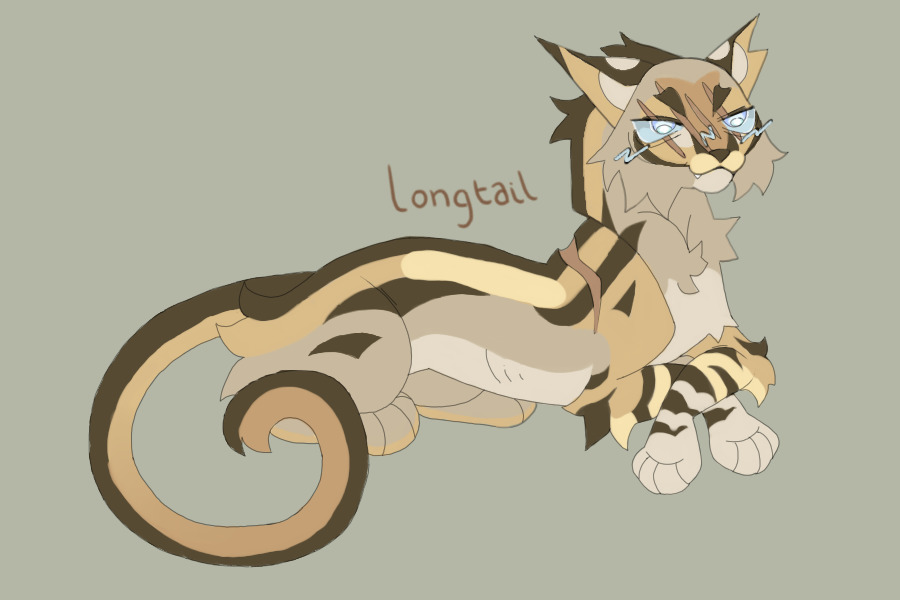 ★ longtail design!