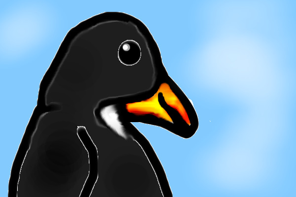 penguin