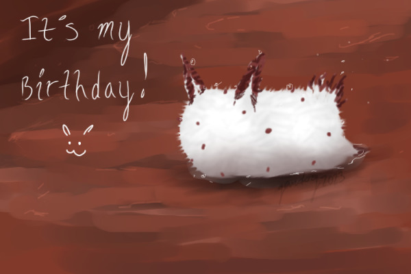 It's My Birthday! :3