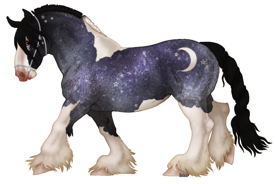 Cupido Auction Horse #014 - itemless