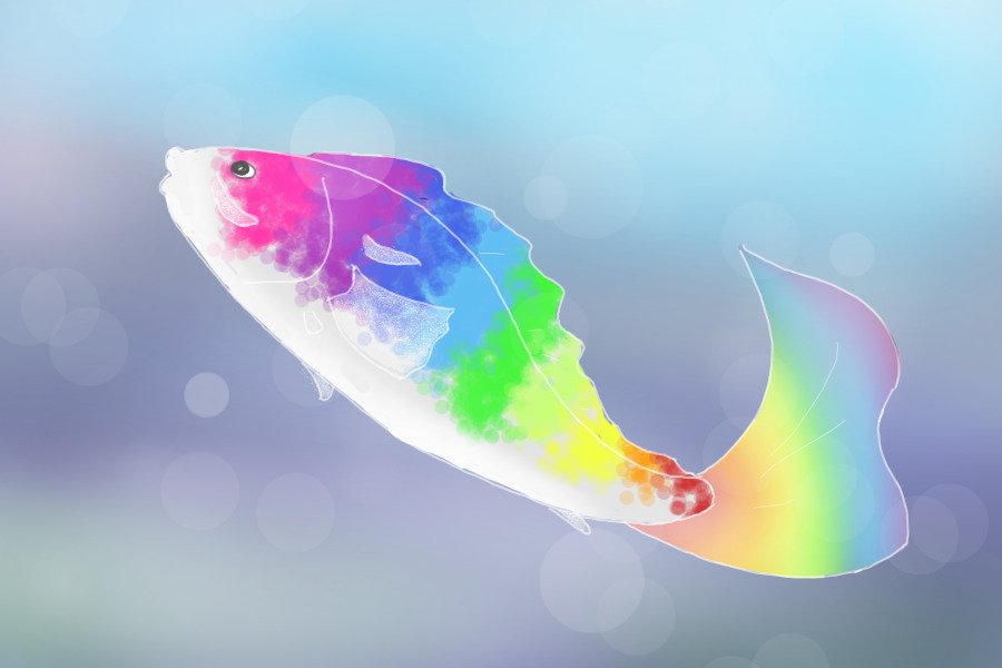 Rainbow Koi Doodle