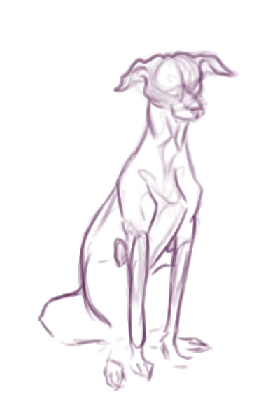 Character sketch