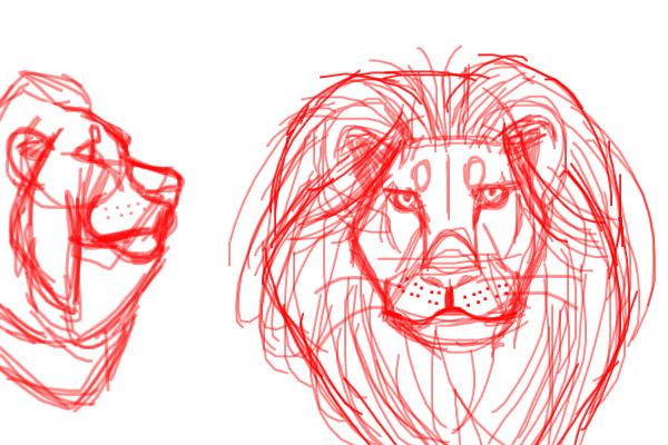 Have some dude lion