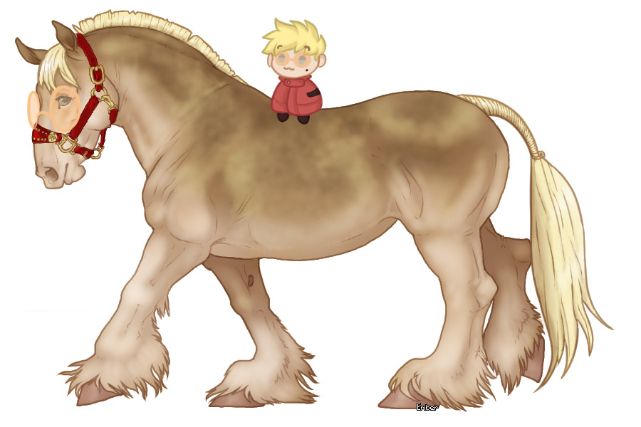 Cupido Draft Horse #565