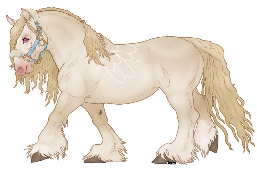 🐴 Cupido Draft Horse #566
