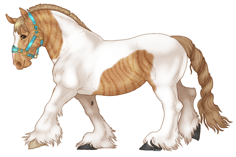 Cupido Draft Horse #567