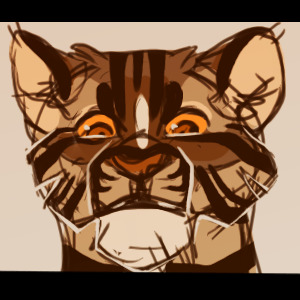 practice tigerpaw